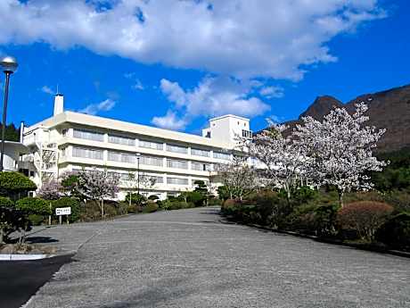 Japanese-Western Mixed Room with Garden View