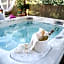 La Stagione dell'Arte B&B