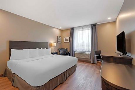 King Room with Bath Tub - Disability Access/Pet Friendly