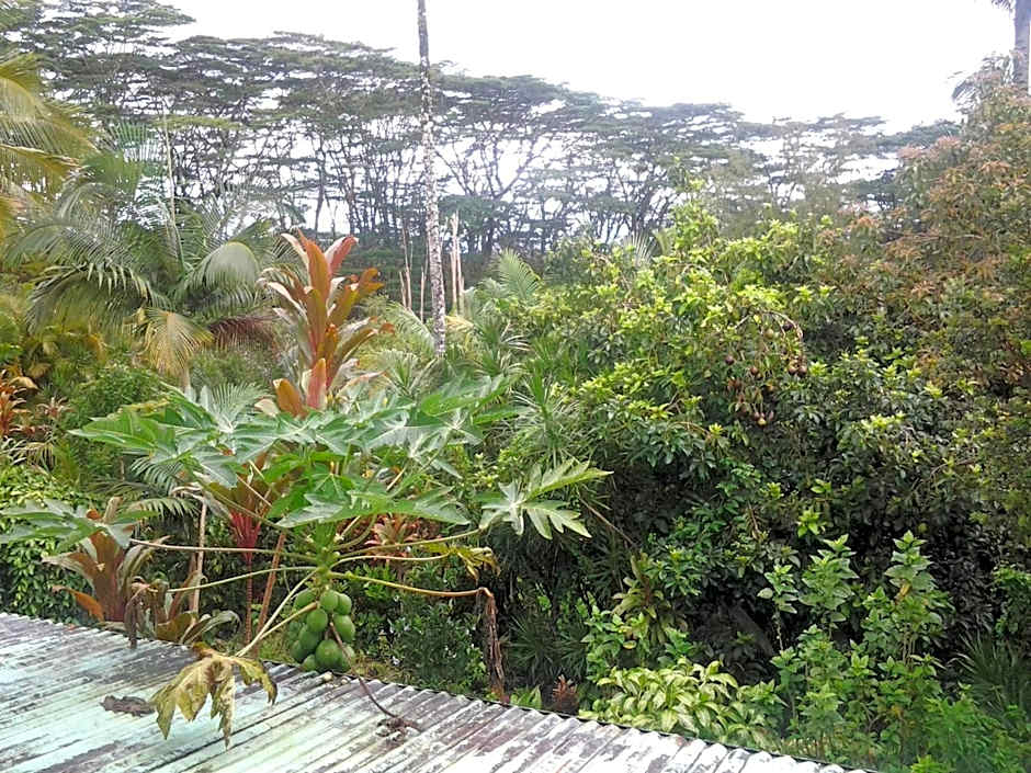 Lava Tree Tropic Inn