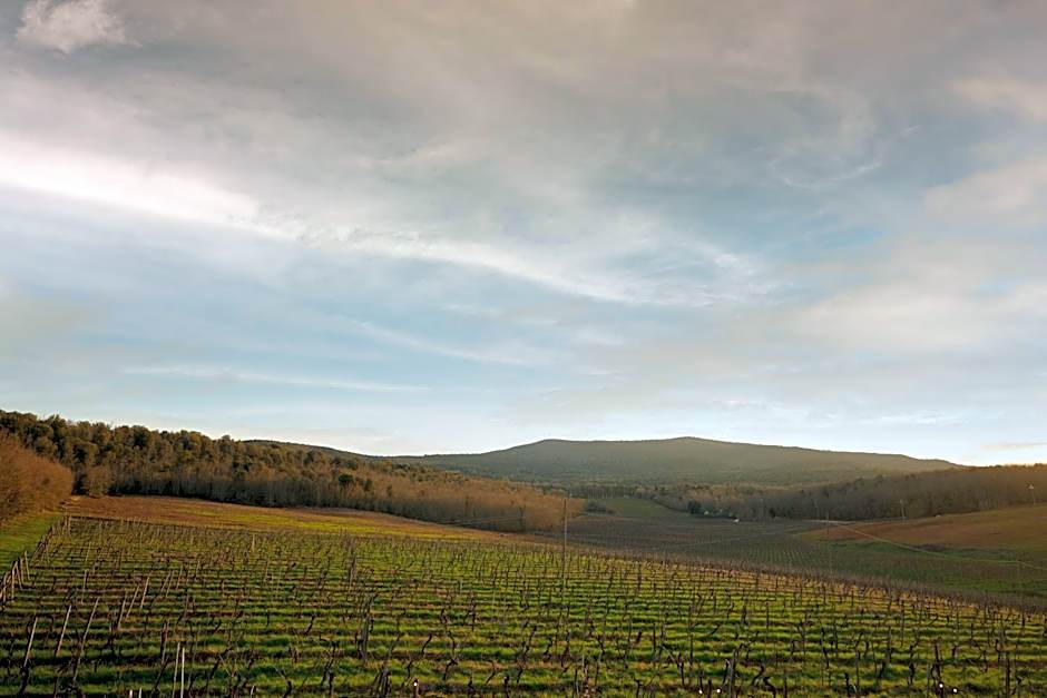 La Dama Country Rooms