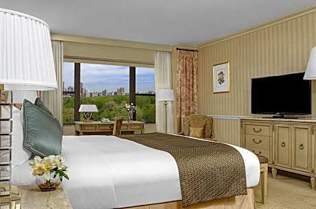 EXECUTIVE ROOM, 1 KING BED, PARK VIEW