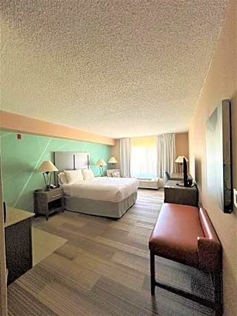Queen Room with Roll-In Shower - Accessible/Non Smoking
