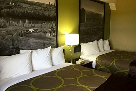 2 Queen Beds Efficiency Non-Smoking