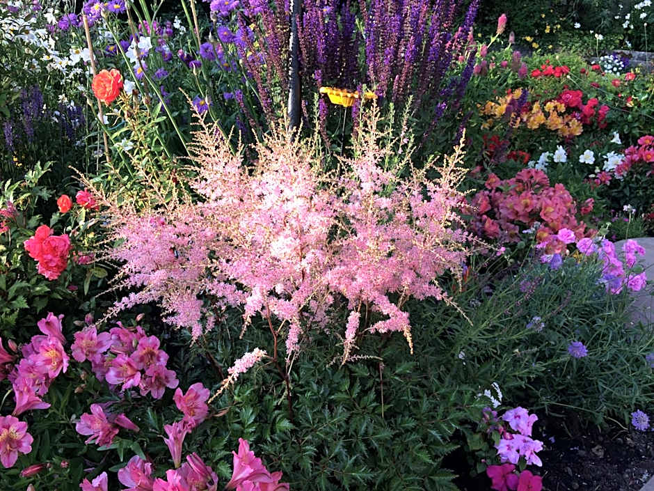 Castlecroft Bed and Breakfast