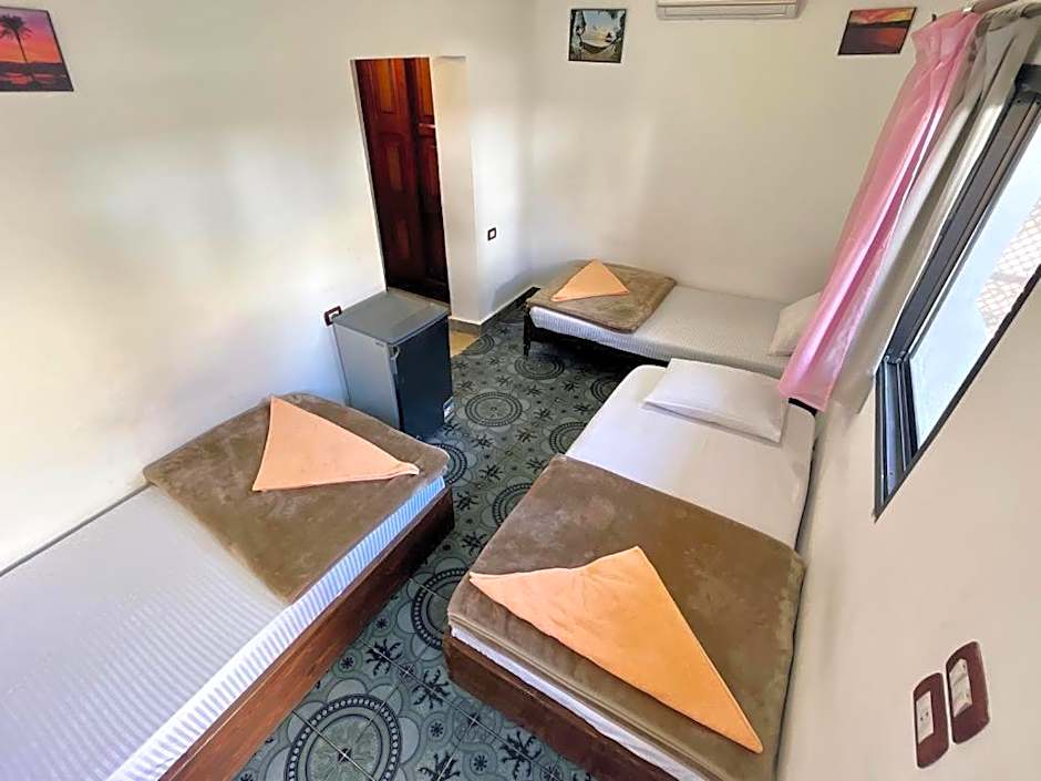 Oasis Fighting Kangaroo