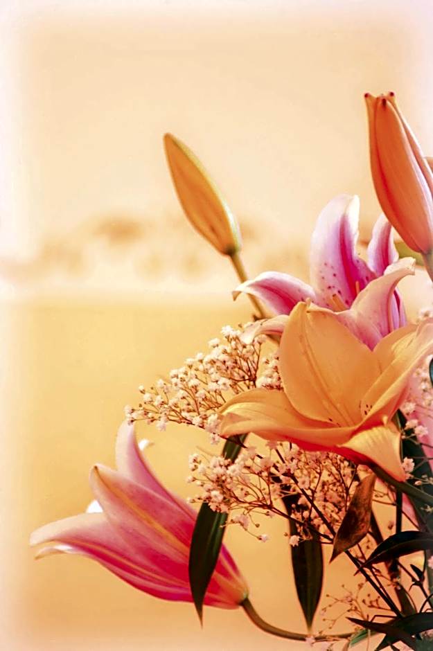 Hotel Tschurtschenthaler