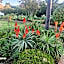 Villa Sardinia Guest House