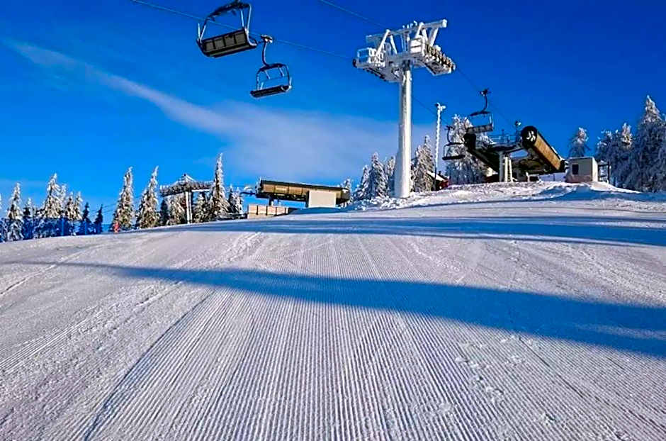 Abertamy Platz Apartments