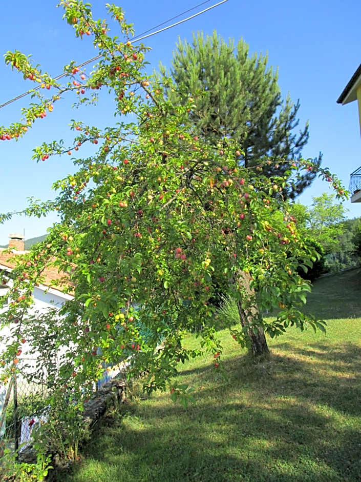 Casa Balducci Bed&Breakfast