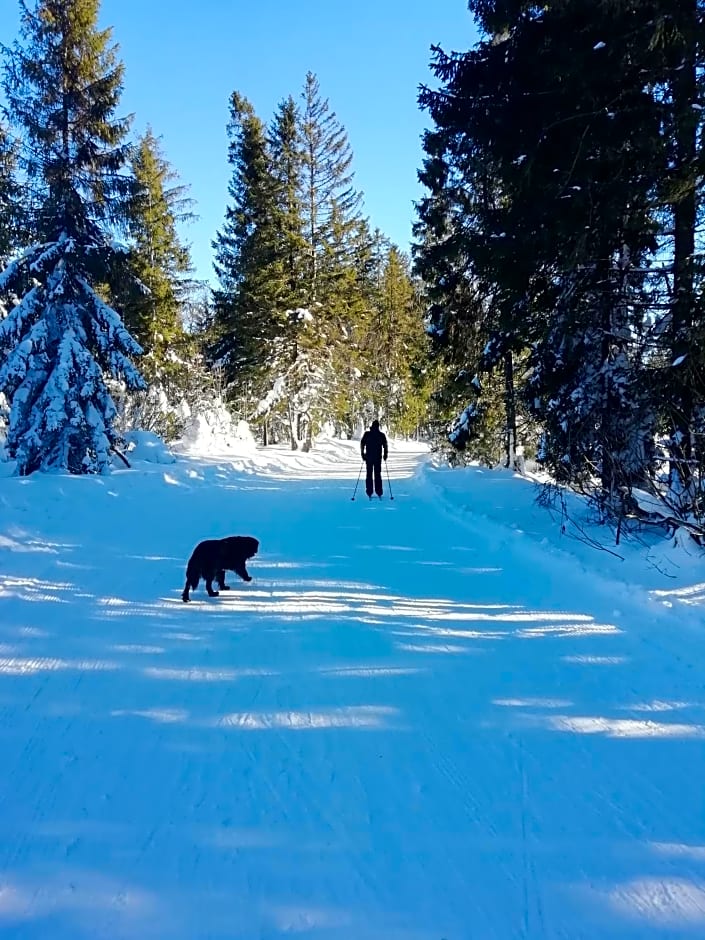 Chalúpka u Babičky