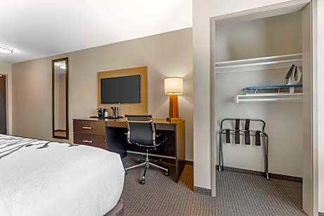 1 King Bed, Nonsmoking, Accessible