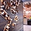 Hotel Indigo Boston Garden By IHG