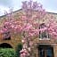 La Magnolia