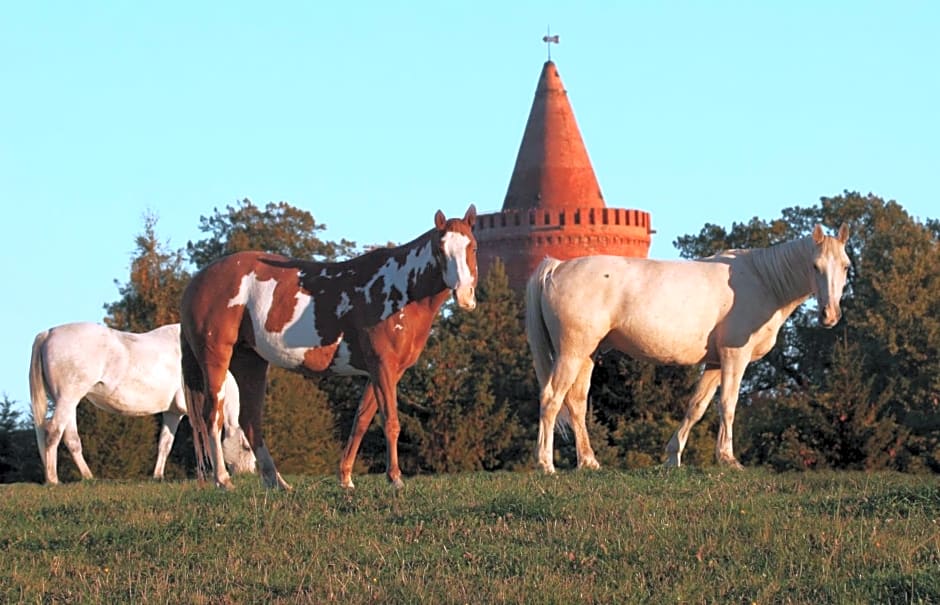 Hotel Zur Burg GmbH