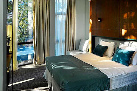 Deluxe Double Room with River View