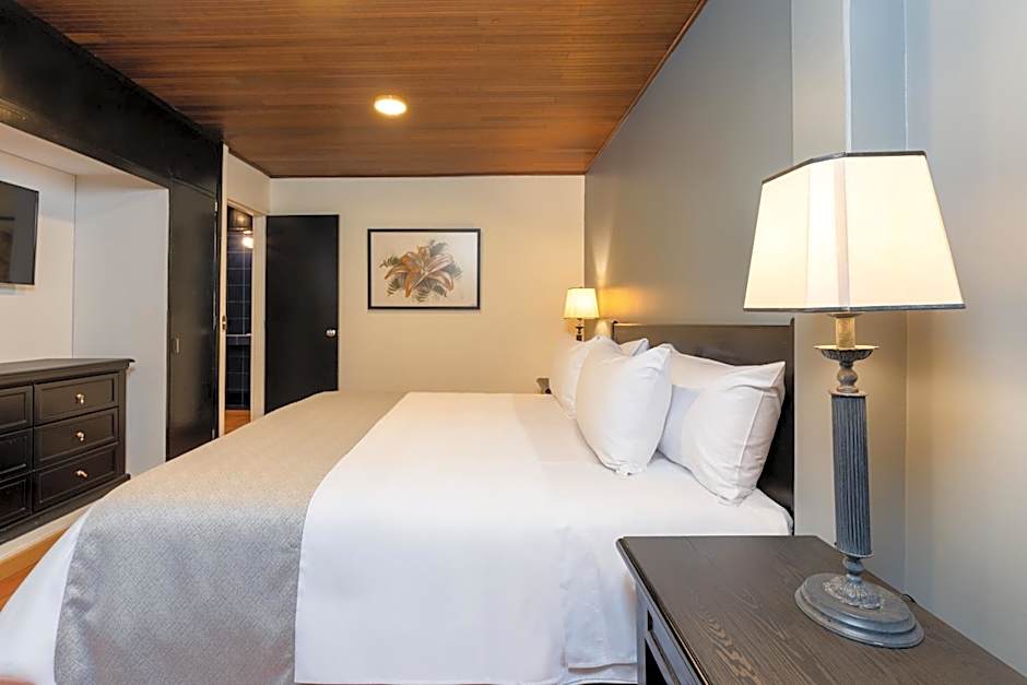 Hotel Dann Av. 19