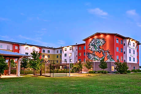 Homewood Suites By Hilton by TechRidge Parmer @ I-35