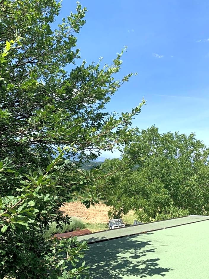 Terrae Eremis: Ristorante, Bar, B&B