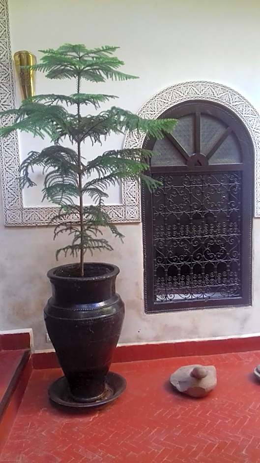 Riad Sidi Ayoub