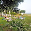 Hotel Mare Pineta