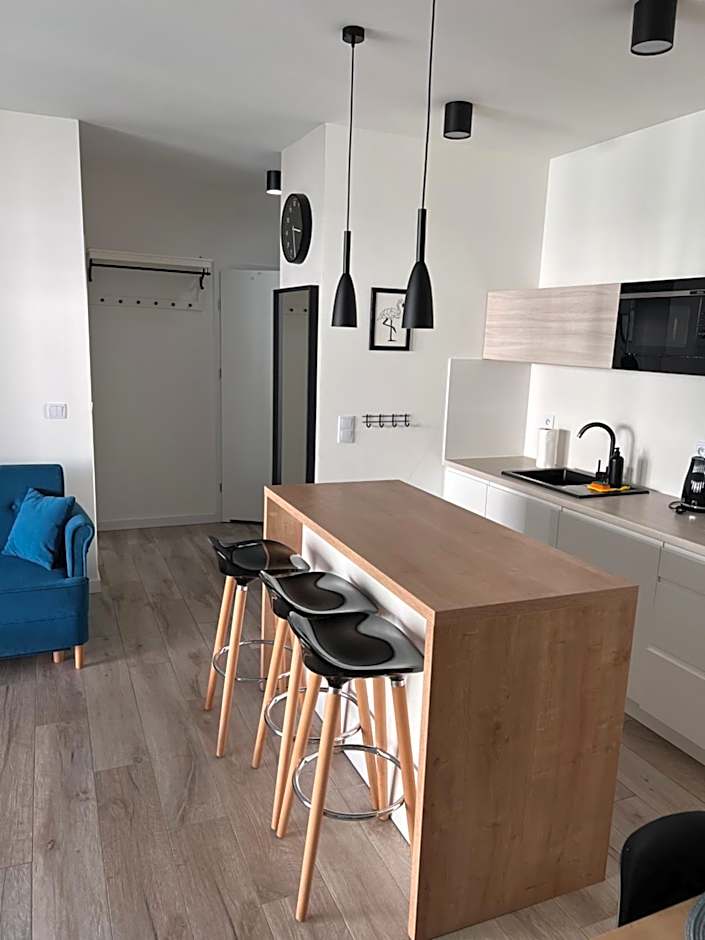 Apartament w Rewalu nad samym morzem