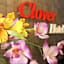 Clover Hotel