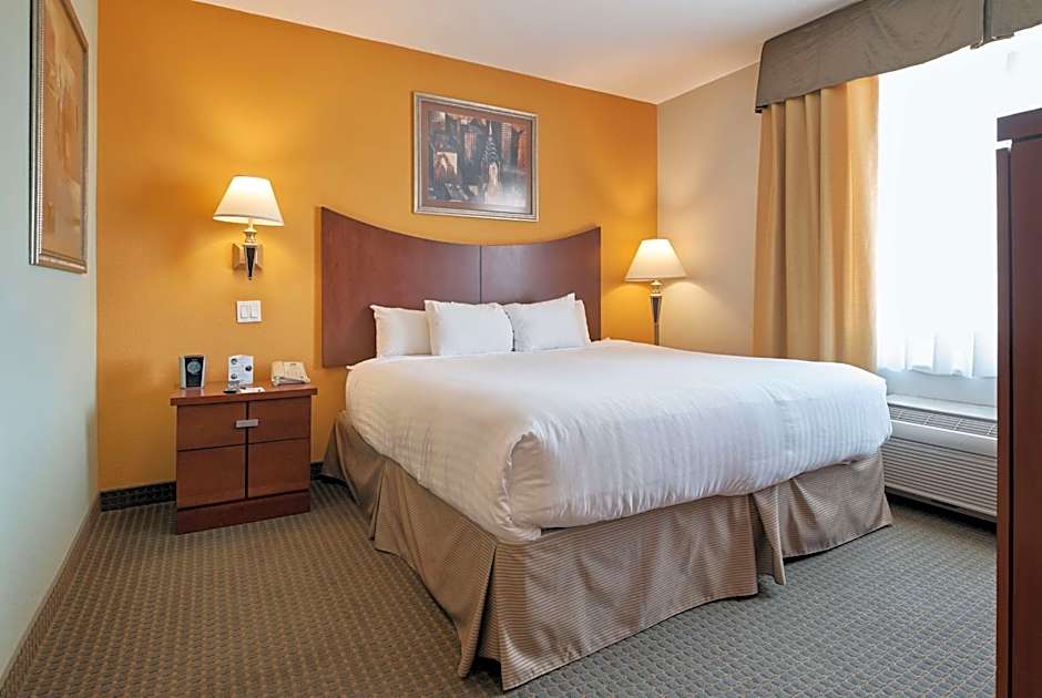 Wingate by Wyndham Chihuahua