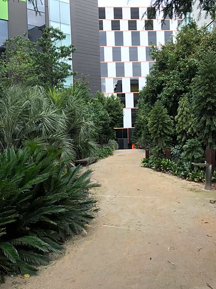 City Harbour Apartments