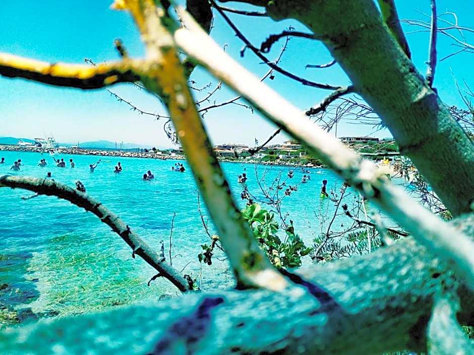 Le stanze del mare
