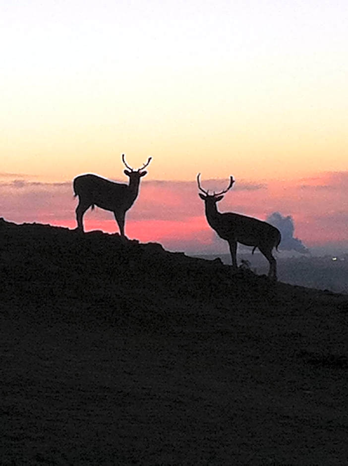 Bybrook Barn Bed & Breakfast