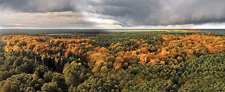 Urzeka