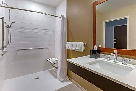King Suite with Walk-in Shower - Accessible/Non-Smoking