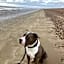 2 bed chalet Greatstone, New Romney sands holiday village 2mins from beach
