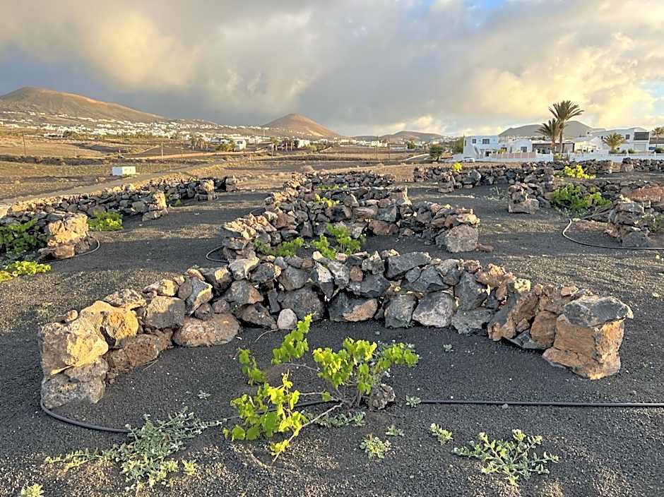 Finca Isolina Hotel Boutique - Adults Recommended