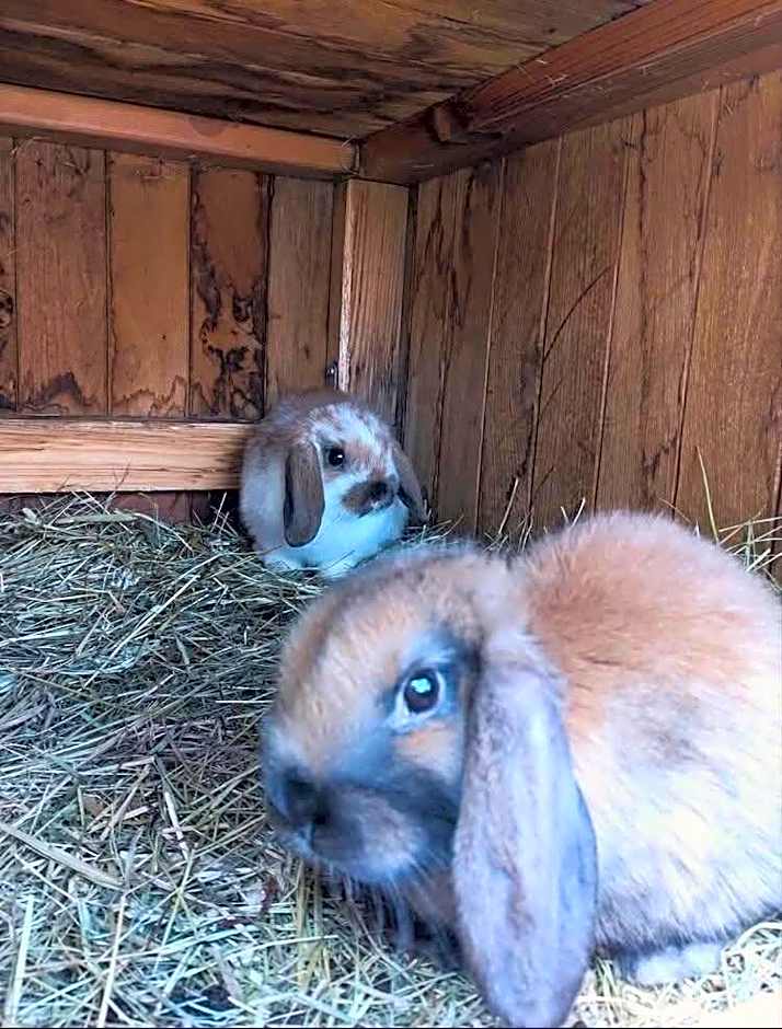 Rodinný hotel Pod Bílou skálou