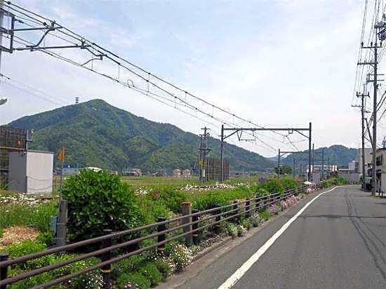 Business Hotel Saigo