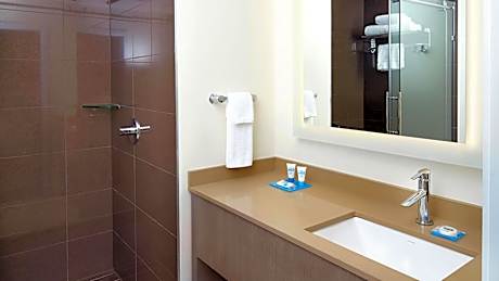 King Room with Sofa Bed