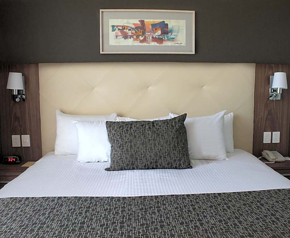 Casa Inn Business Irapuato