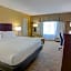 Holiday Inn St. Petersburg N - Clearwater by IHG