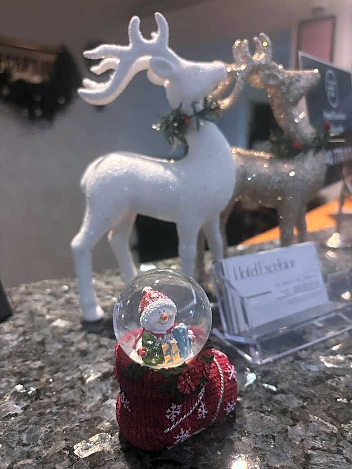 Excelsior Hotel Timisoara