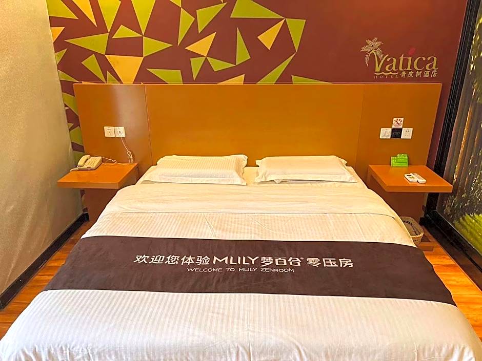 Vatica Jieshou City New Passenger Transport Center Hotel