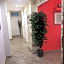 B&B Ariston Pisa Tower