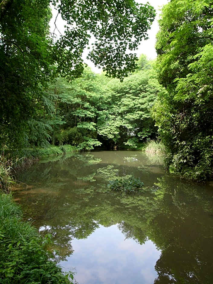 B&B Giardino Jappelli (Villa Ca' Minotto)
