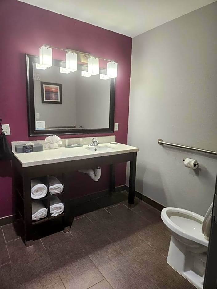 La Quinta Inn & Suites by Wyndham Dallas Grand Prairie North