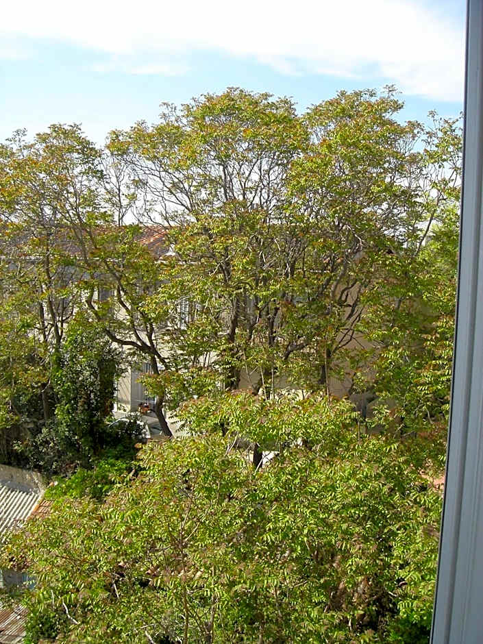 Résidence Carpe Diem