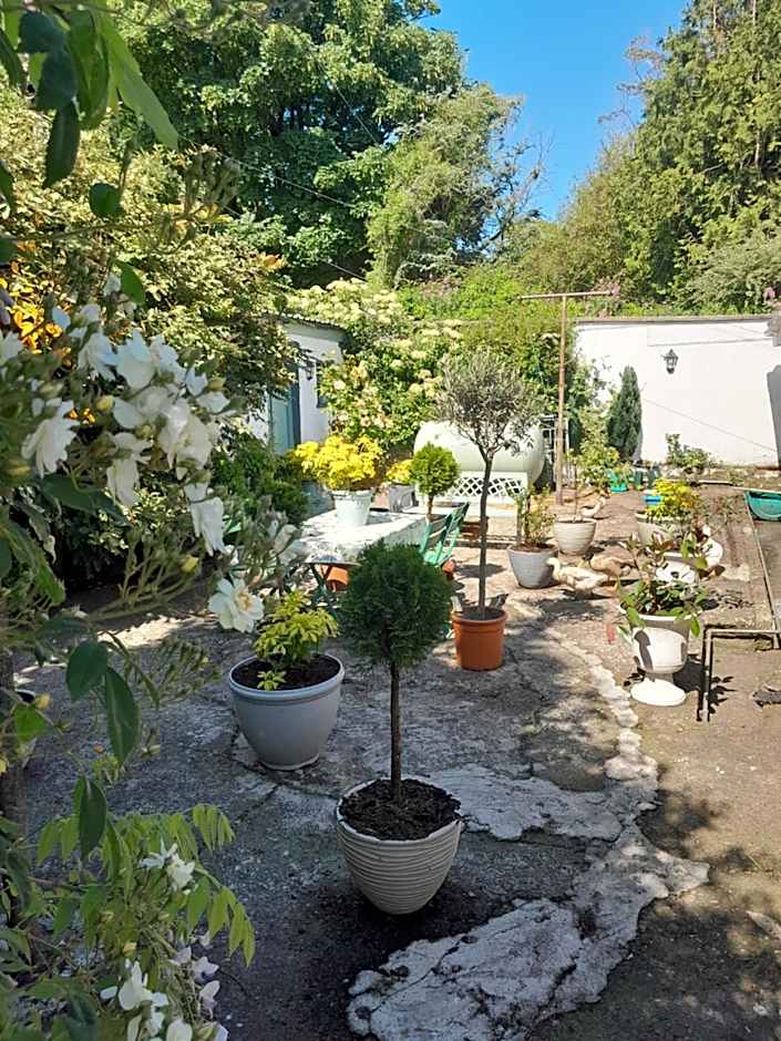 Saint Martin's Bed and Breakfast