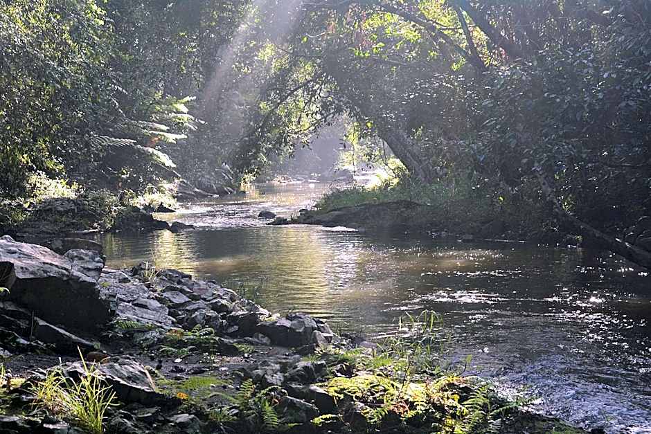 Tropical Bliss bed and breakfast