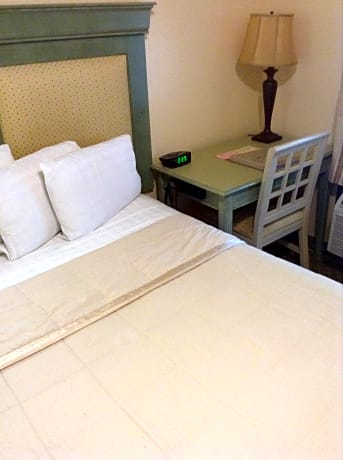 Superior Queen Room