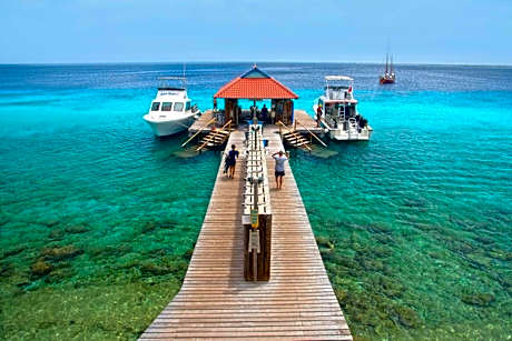 Divi Flamingo Beach Resort & Casino